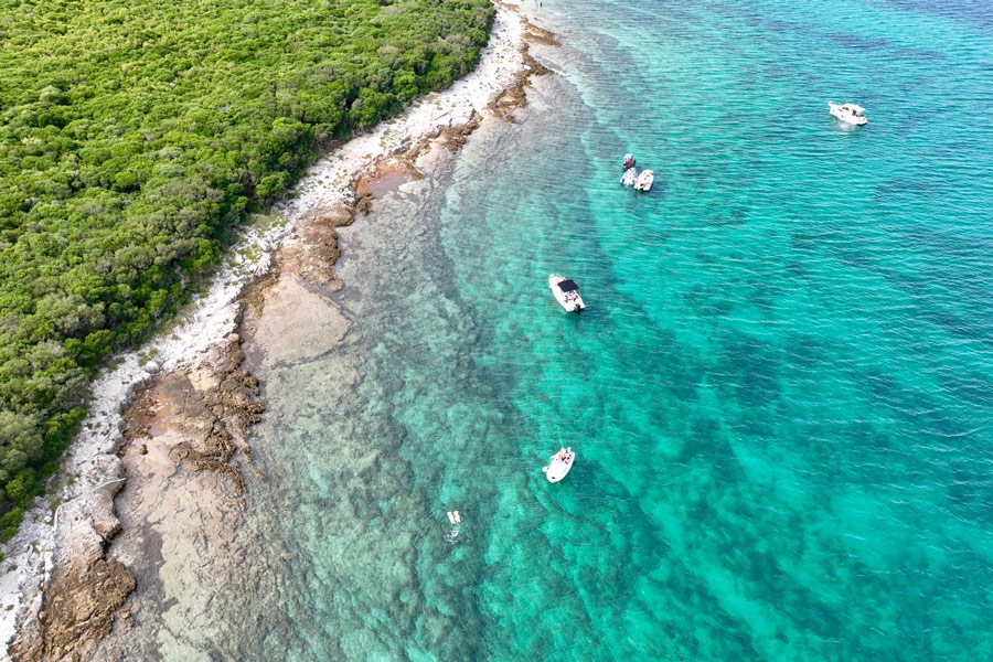 440436ca-ea92-4d19-91c5-2687a546233a