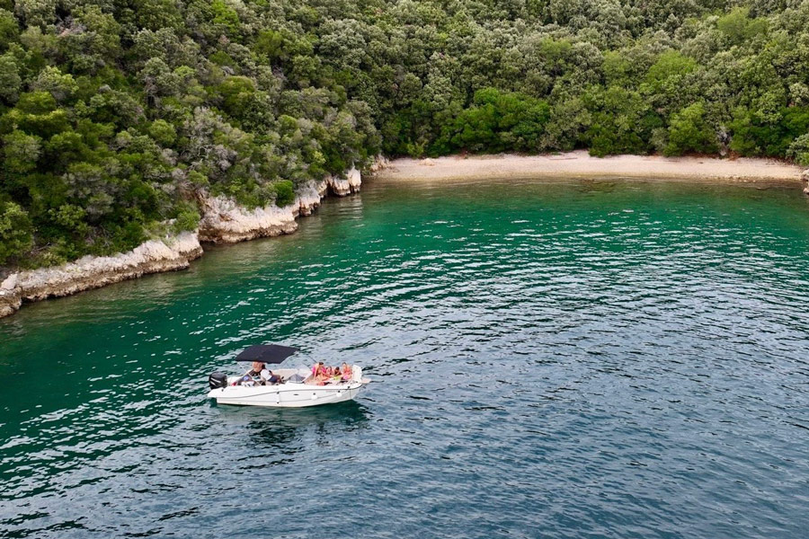 64d7dbc6-470b-42e0-82e7-cb15a391f0ec