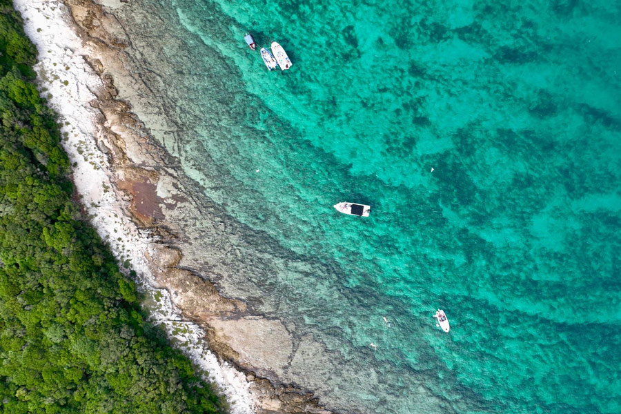 7c2aab95-369f-4288-b50b-8bbd8d6c51031