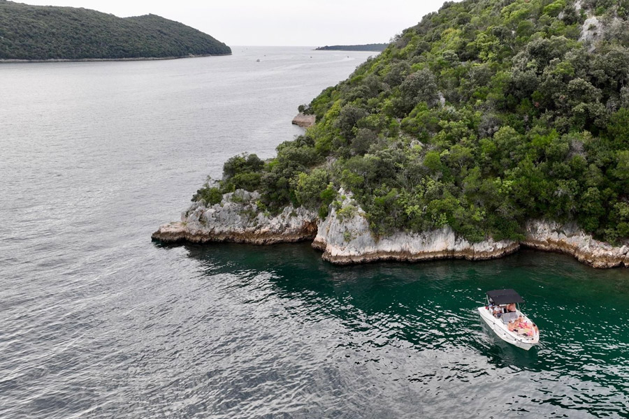 8152d7f0-95c9-488b-aa74-3e73bc3a2bcc3