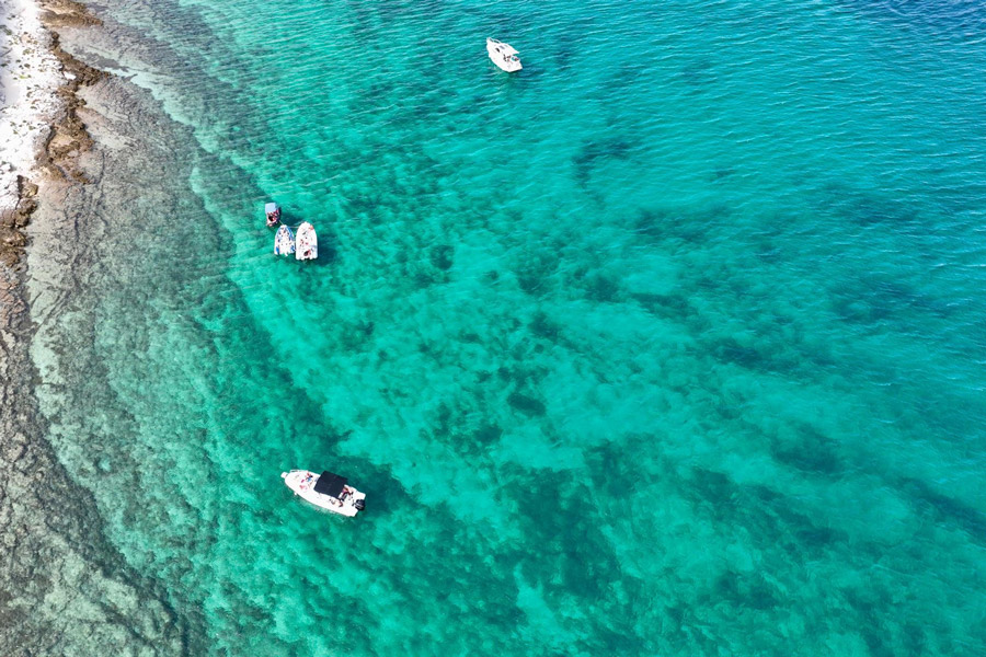 d58d0401-9dec-4106-b542-f5f7234da83a